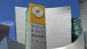 Walt Disney ukarany za nierówności płacowe – symboliczne zwycięstwo czy początek zmian?