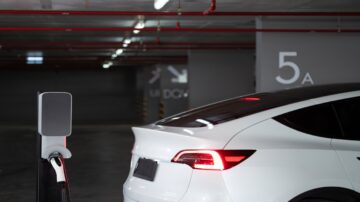 Elon Musk pod ostrzałem – dlaczego Amerykanie protestują przeciwko miliarderowi?