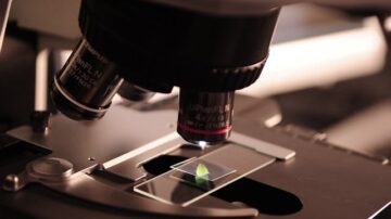 Laborant – kim jest? Jak zdobyć zawód i ile można zarobić?
