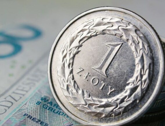 Allegro rozpędziło WIG20. Rekordowa sesja mimo przeceny banków